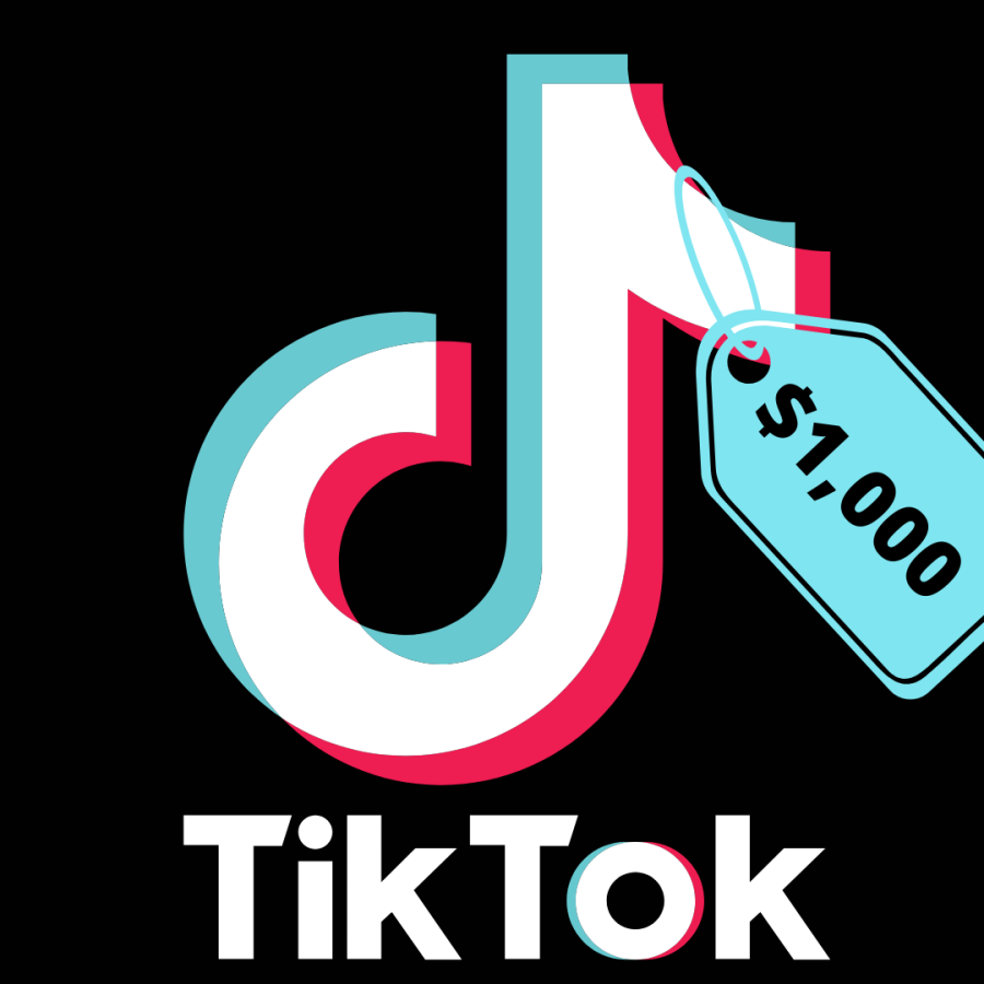 TikTok+to+begin+charging+a+monthly+membership+fee